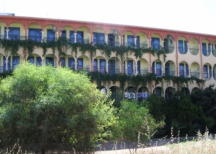 Palmiye