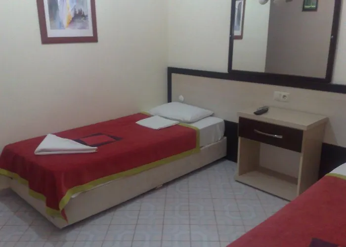 Palmiye 2*