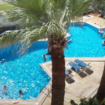Palmiye 2*