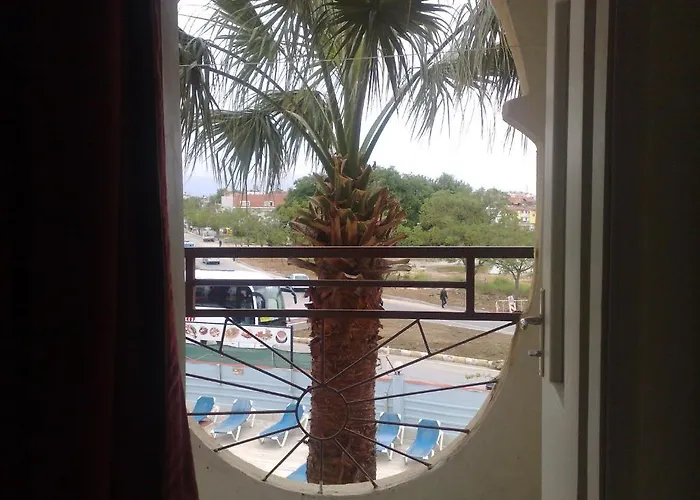 Palmiye 2*